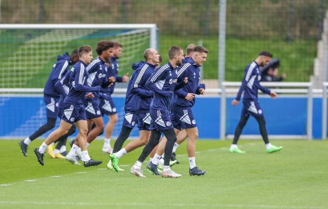 沙尔克在客场击败了霍芬海姆的比赛