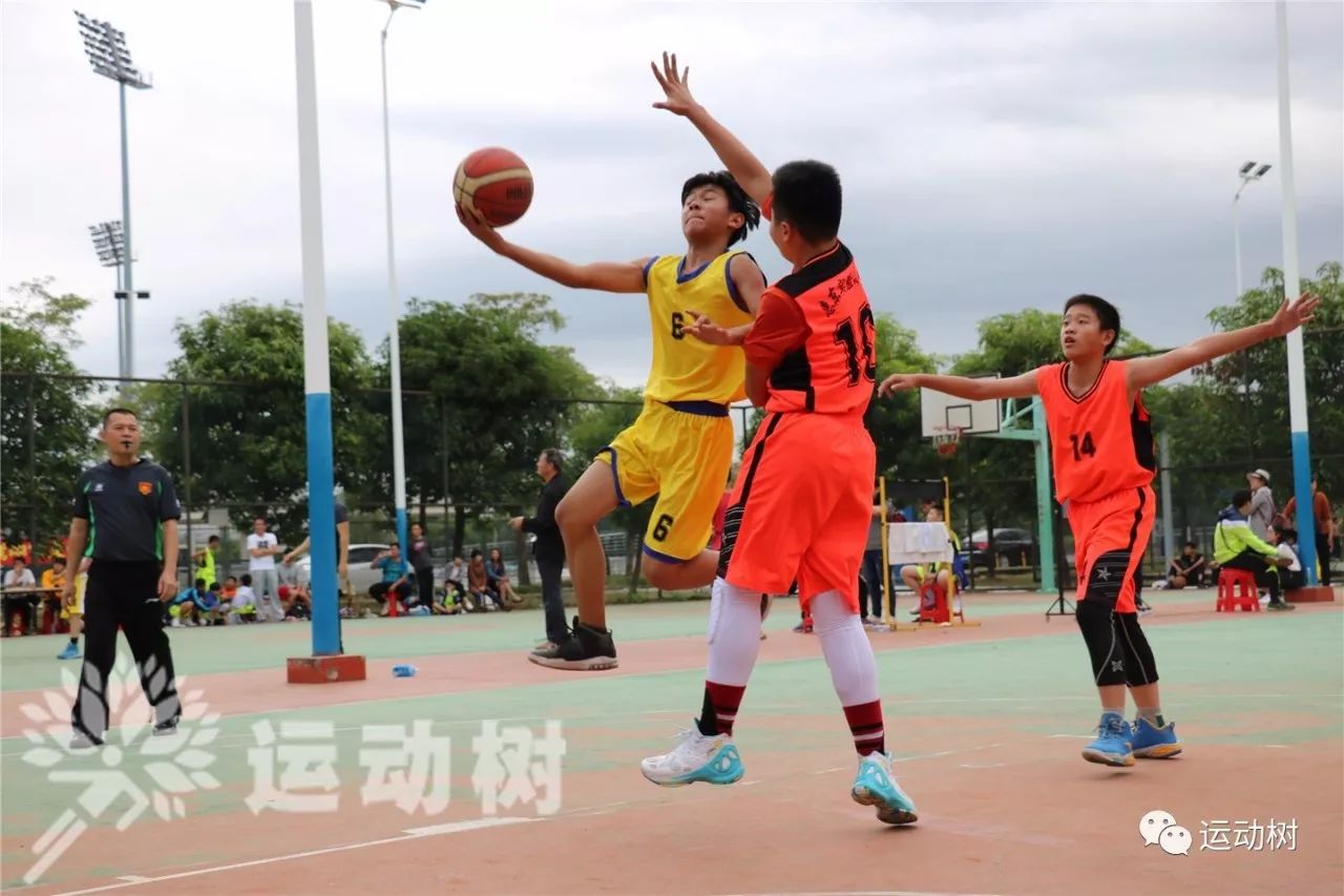 南美篮球联赛半决赛红红火火,四强对抗 南美篮球联赛半决赛红红火火,四强对抗